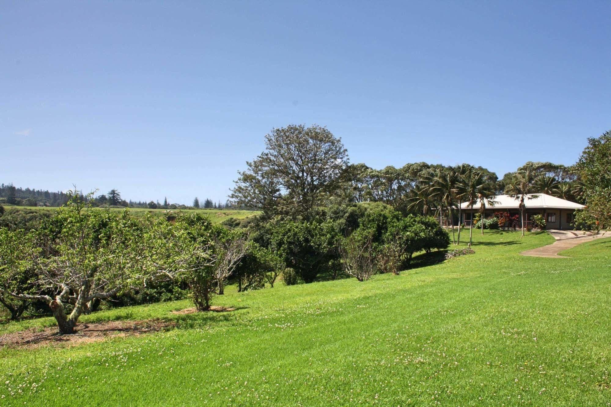 Отель Tau Gardens Norfolk Island Экстерьер фото
